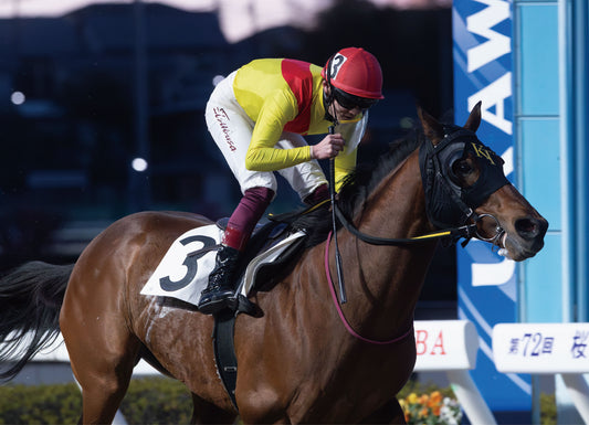 クリスタライズ号「埼玉の酪農応援賞　特別Ｂ２Ｂ３選抜馬」勝利記念オリジナル額装