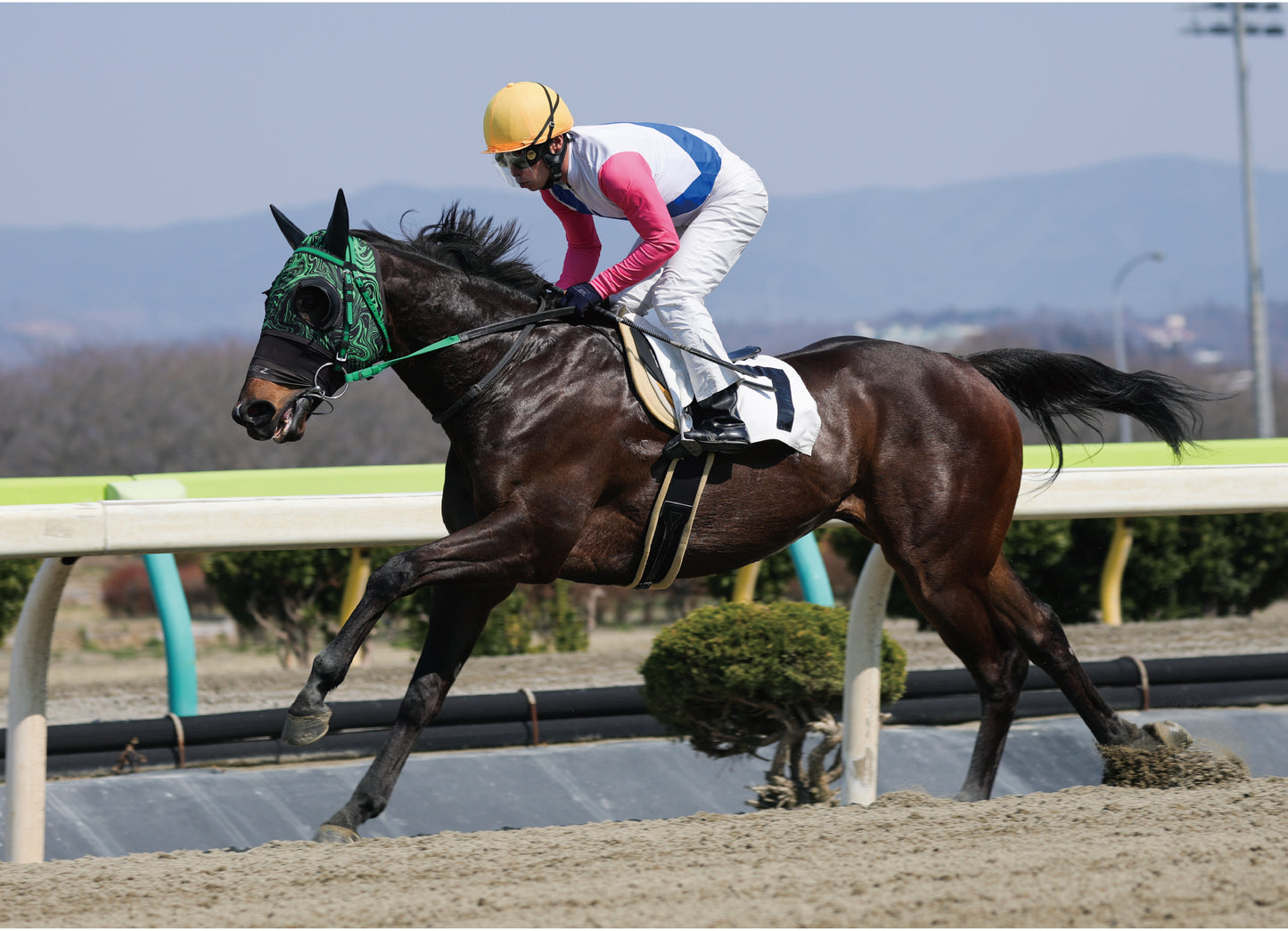 ブリスタイム号「C2九組」勝利記念オリジナル額装