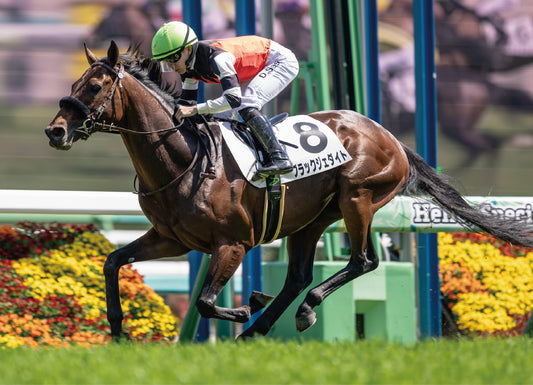 ブラックジェダイト号「4歳以上1勝クラス」勝利記念オリジナル額装