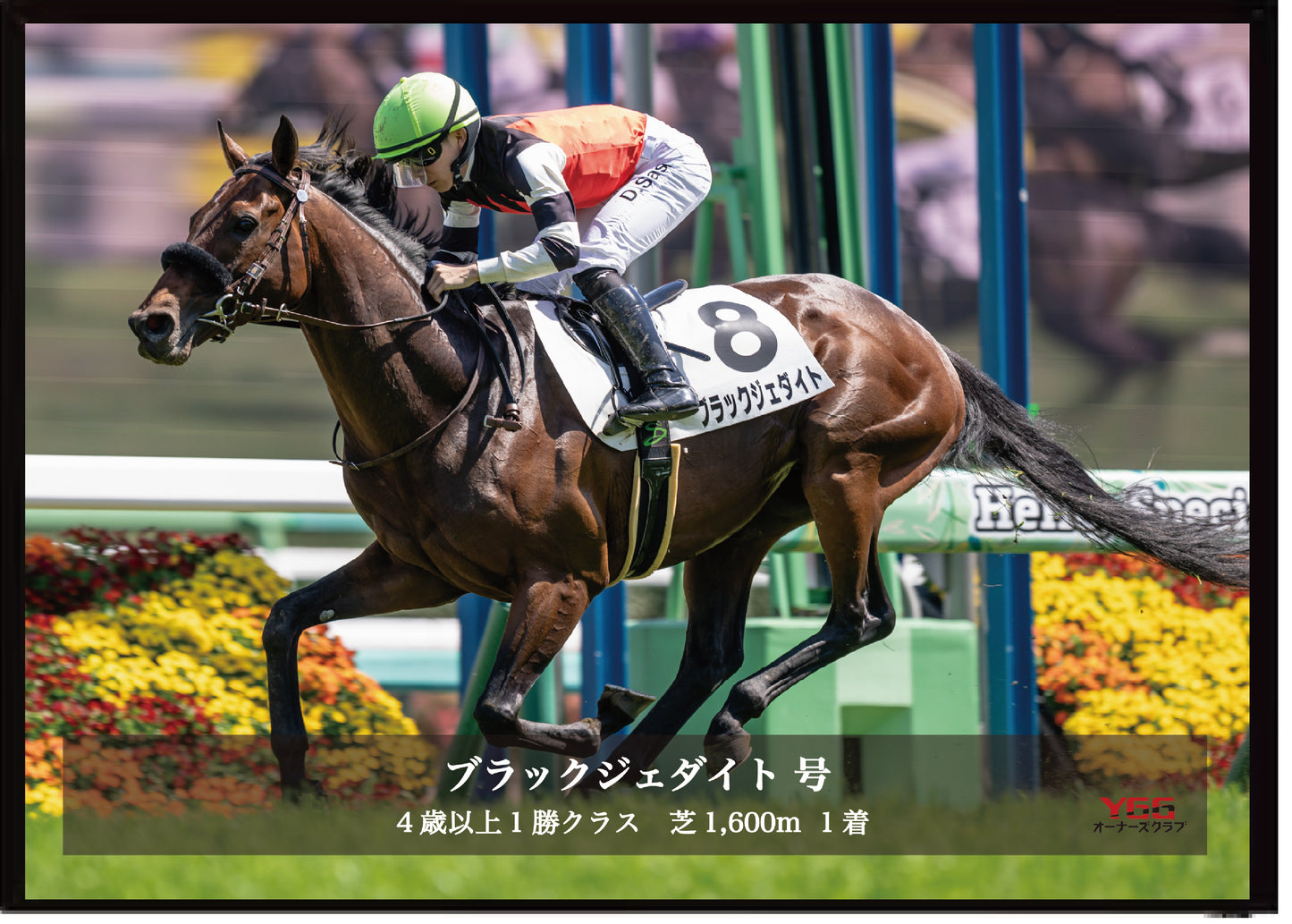 ブラックジェダイト号「4歳以上1勝クラス」勝利記念オリジナル写真プレート