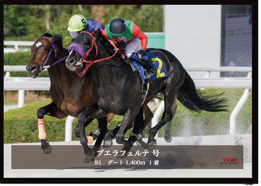 ブエラフェルテ号「B１」勝利記念オリジナル写真プレート