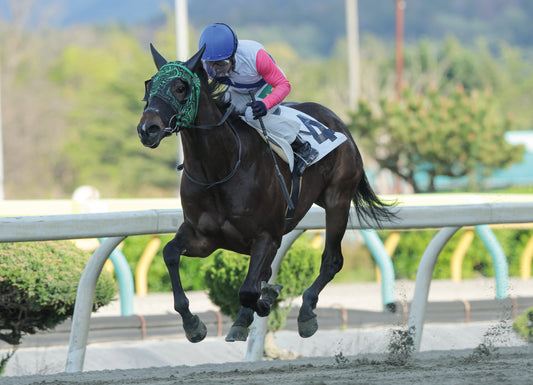 ブリスタイム号「C１六組」勝利記念オリジナル額装