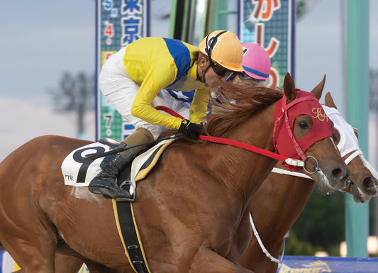 ラストショット号「馬い！実況ありがとう記念Ｃ２二 三 四ウ」勝利記念オリジナル額装