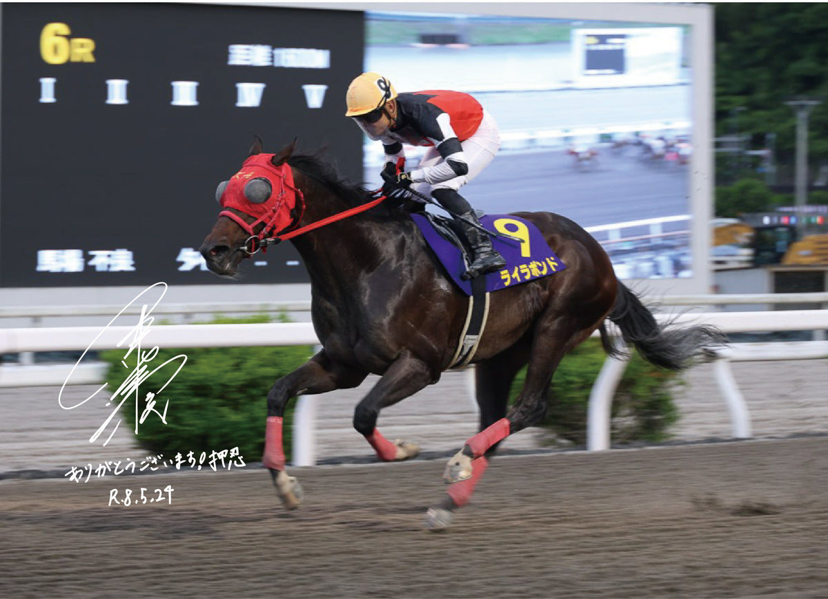 ライラボンド号「第１７回 福永洋一記念［地方交流］４歳以上」勝利記念オリジナル額装 (野畑凌騎手のサインプリント入り)