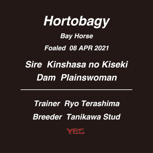 ホルトバージ号 TシャツB（BLK）