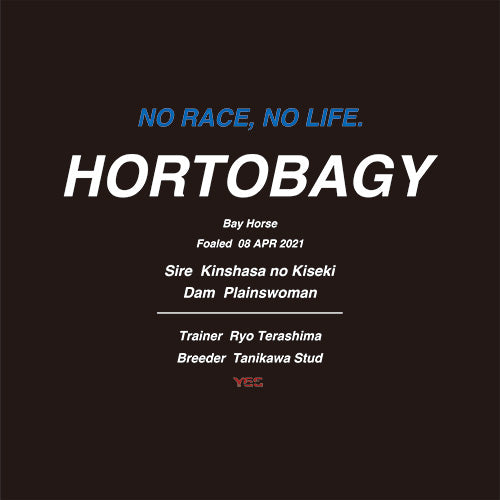 ホルトバージ号 ナイロンブルゾン（BLACK）