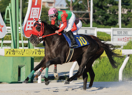 ブエラフェルテ号「Ｂ１ ３歳以上特別」勝利記念オリジナル額装