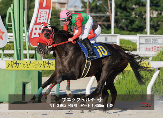ブエラフェルテ号「Ｂ１ ３歳以上特別」勝利記念オリジナル写真プレート