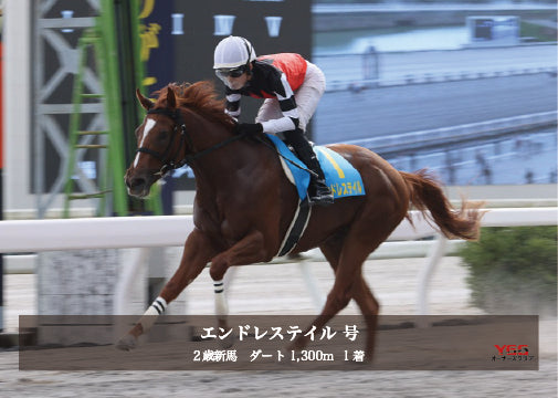 エンドレステイル号「2歳新馬」勝利記念オリジナル写真プレート